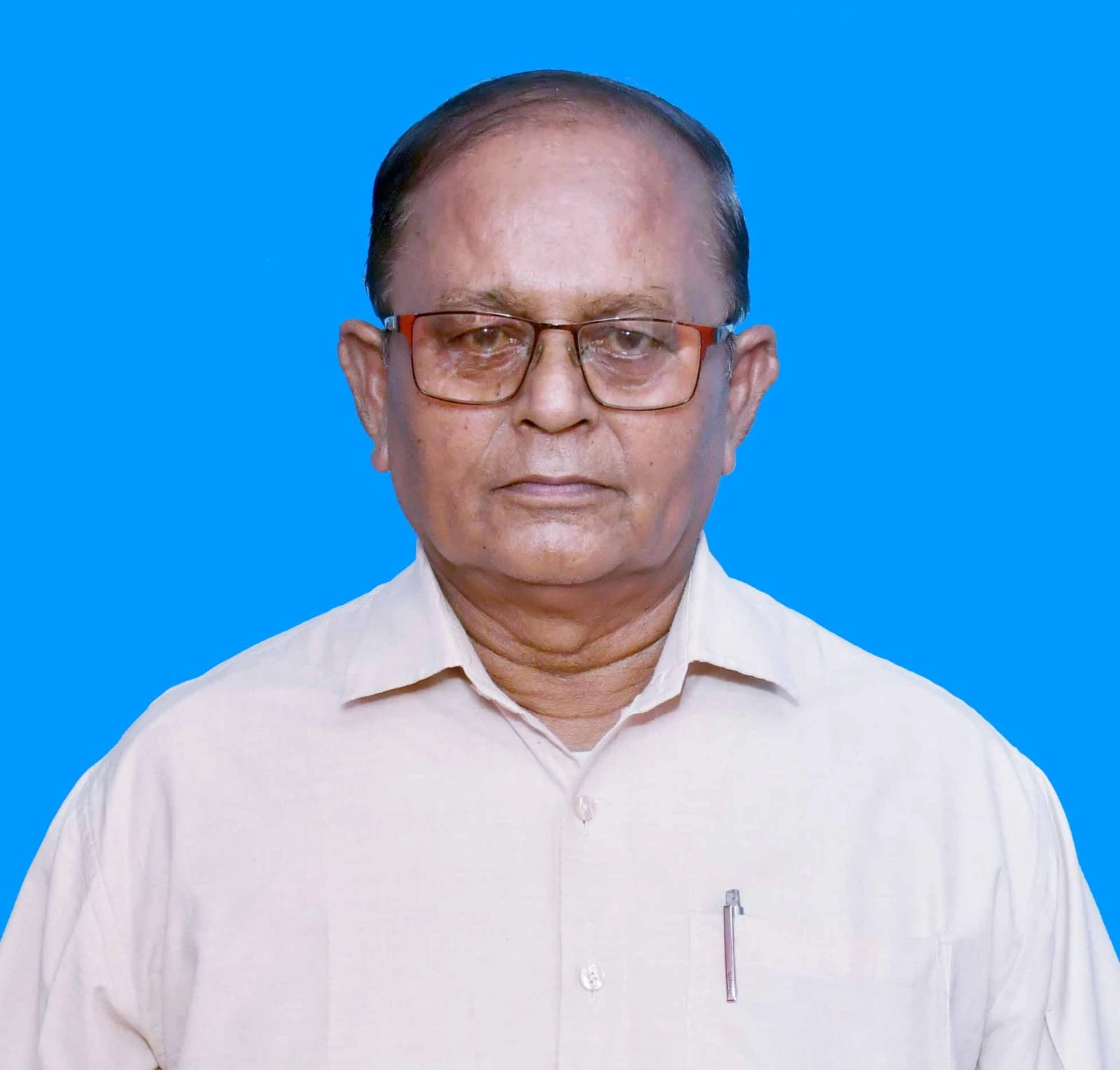 Nemai Chandra Roy - CEO